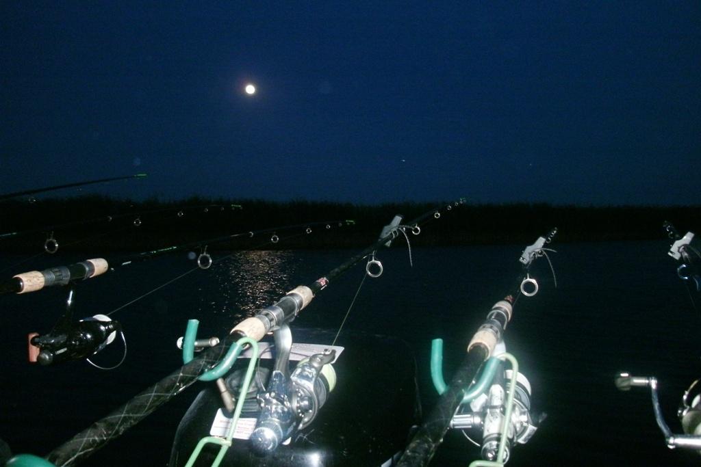 Luna plina - gedc0332.JPG